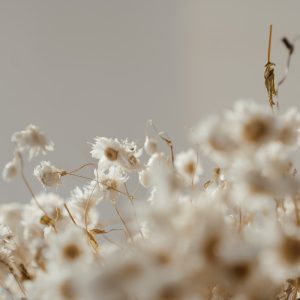 Baby’s Breath Crown